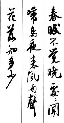 春眠不觉晓,处处闻啼鸟。夜来风雨声,花落知多少